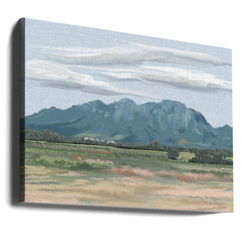 Veiled In Shadows, Rooted In Vines, Stellenbosch, South Africa - Stretched Canvas, Poster or Fine Art Print I Heart Wall Art