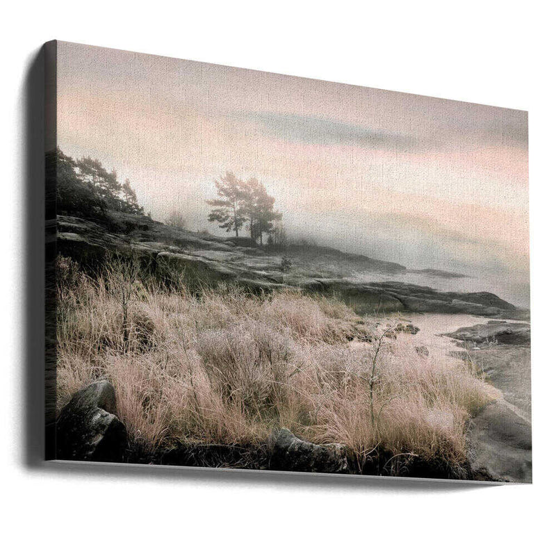 Morning Frost - Stretched Canvas, Poster or Fine Art Print