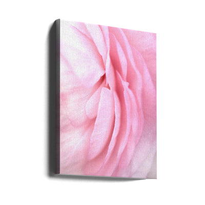 Soft pink petals - Stretched Canvas, Poster or Fine Art Print I Heart Wall Art