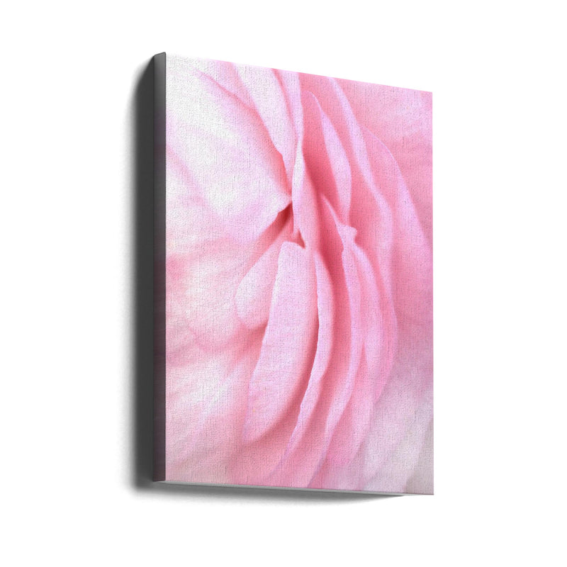 Soft pink petals - Stretched Canvas, Poster or Fine Art Print I Heart Wall Art