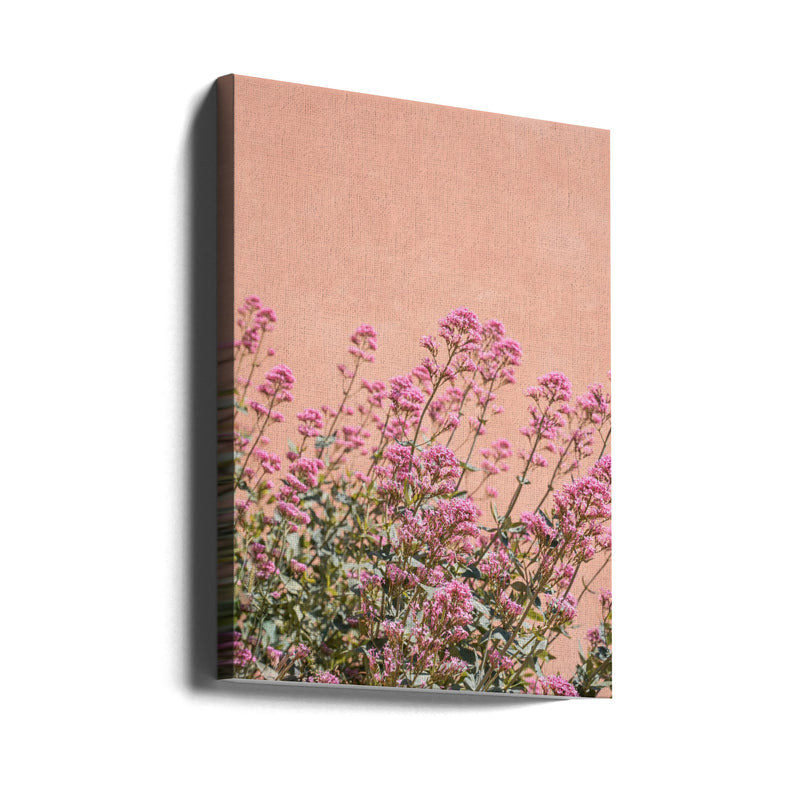 Summer Flowers - Stretched Canvas, Poster or Fine Art Print I Heart Wall Art