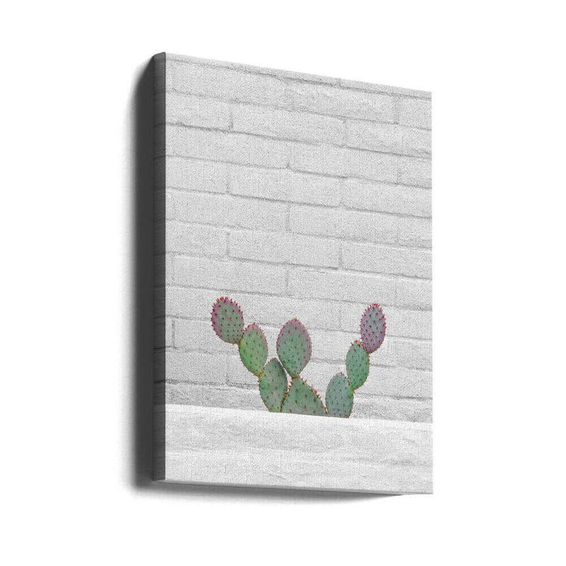 Stay Sharp - Stretched Canvas, Poster or Fine Art Print I Heart Wall Art