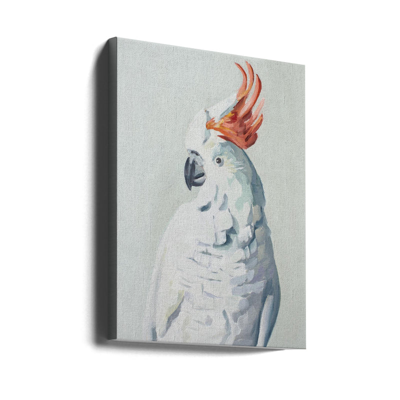White Cockadoo - Stretched Canvas, Poster or Fine Art Print I Heart Wall Art