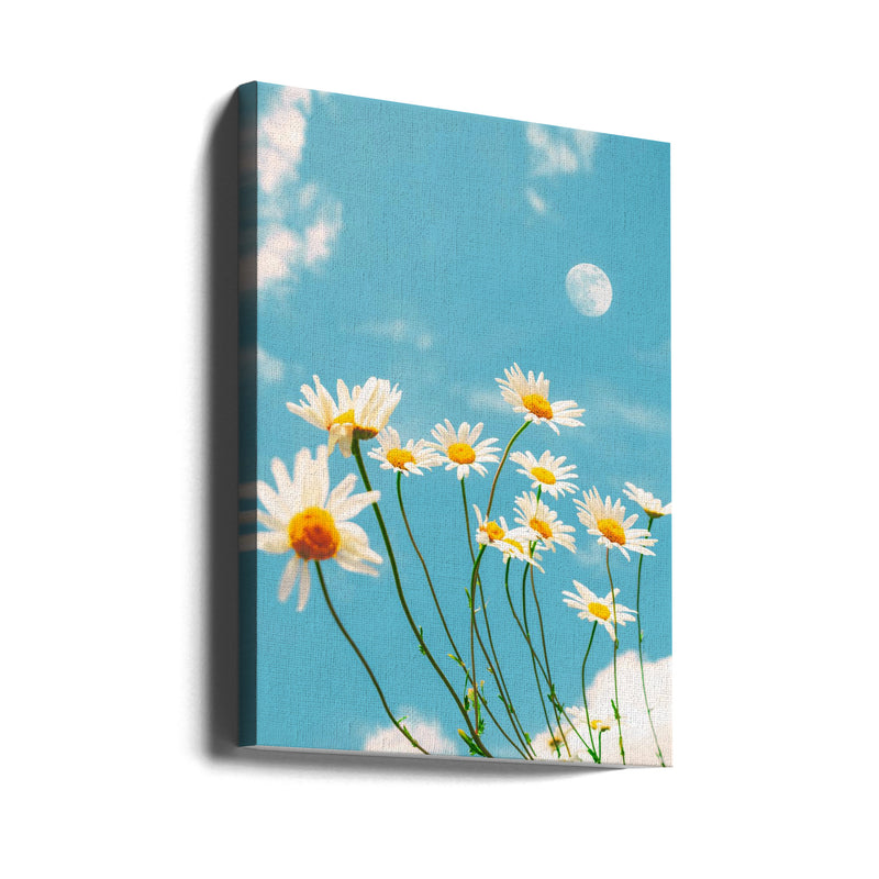Magical Daisies - Stretched Canvas, Poster or Fine Art Print I Heart Wall Art