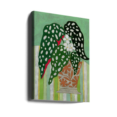 Begonia Maculata - Stretched Canvas, Poster or Fine Art Print I Heart Wall Art