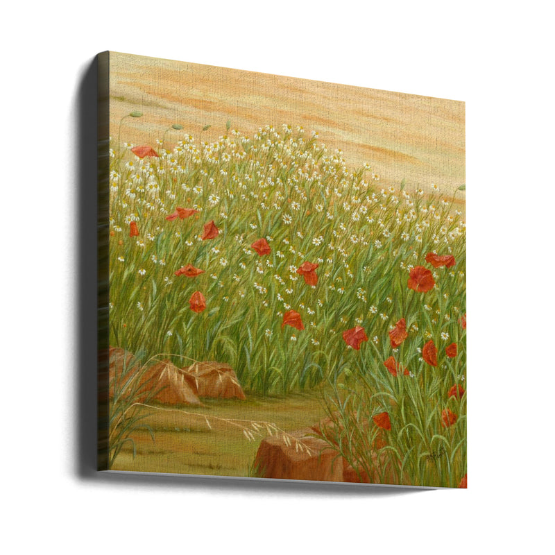 Daisies and  Poppies - Square Stretched Canvas, Poster or Fine Art Print I Heart Wall Art