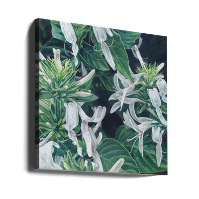 White Flowers By Viccy Wanliss - Square Stretched Canvas, Poster or Fine Art Print
