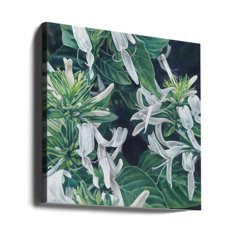 White Flowers By Viccy Wanliss - Square Stretched Canvas, Poster or Fine Art Print