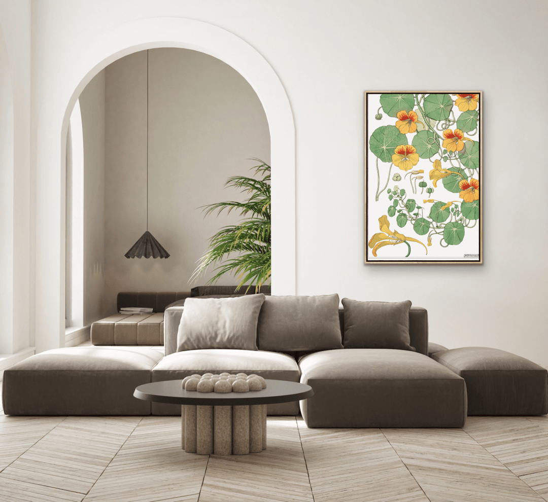 Capucine (Nasturtium) From La Plante et Ses Applications Ornementales (1896) Illustrated by Maurice Pillard Verneuil - Stretched Canvas or Wall Art Print - I Heart Wall Art - Poster Print, Canvas Print or Framed Art Print