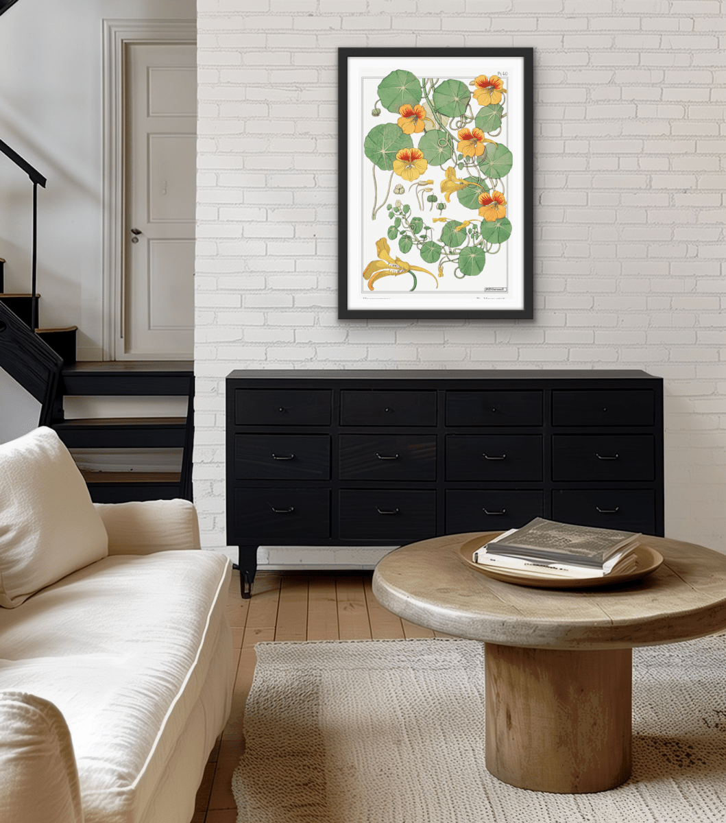 Capucine (nasturtium) from La Plante et ses Applications ornementales (1896) illustrated by Maurice Pillard Verneuil - Vintage Art print - I Heart Wall Art - Poster Print, Canvas Print or Framed Art Print