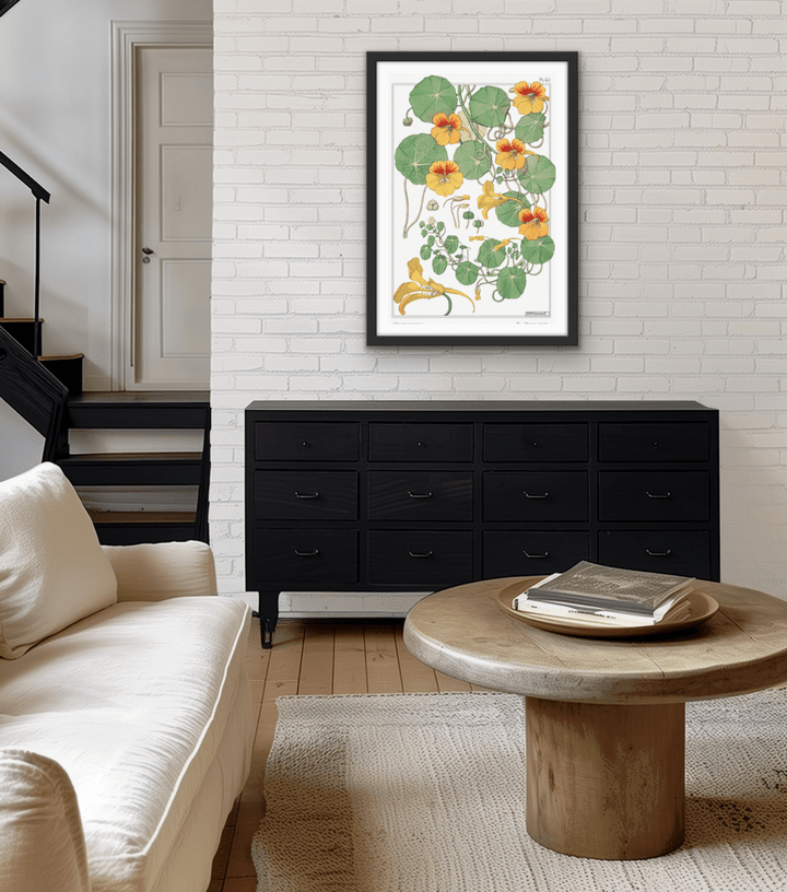 Capucine (nasturtium) from La Plante et ses Applications ornementales (1896) illustrated by Maurice Pillard Verneuil - Vintage Art print - I Heart Wall Art - Poster Print, Canvas Print or Framed Art Print
