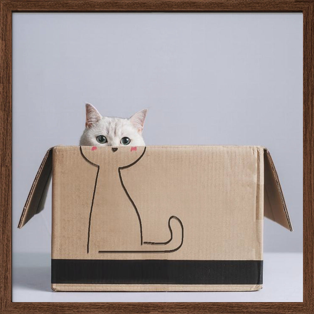 Cat in the box - Square Stretched Canvas, Poster or Fine Art Print I Heart Wall Art