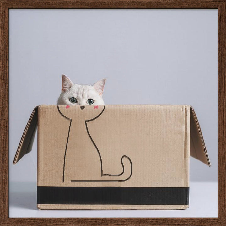 Cat in the box - Square Stretched Canvas, Poster or Fine Art Print I Heart Wall Art