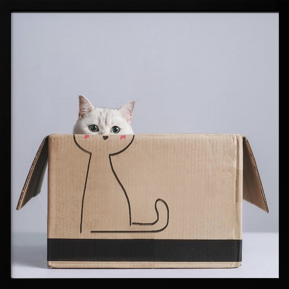 Cat in the box - Square Stretched Canvas, Poster or Fine Art Print I Heart Wall Art