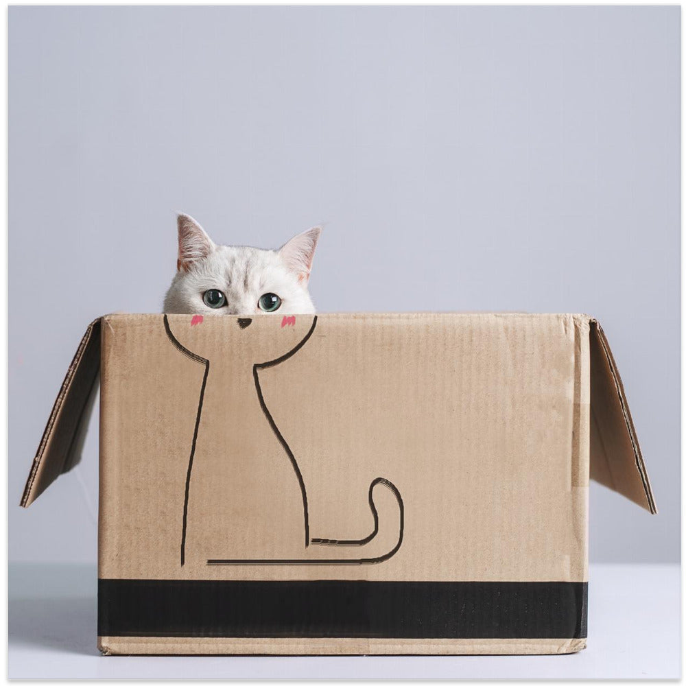 Cat in the box - Square Stretched Canvas, Poster or Fine Art Print I Heart Wall Art