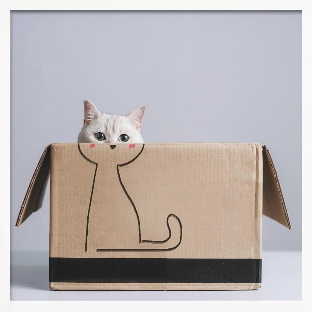 Cat in the box - Square Stretched Canvas, Poster or Fine Art Print I Heart Wall Art