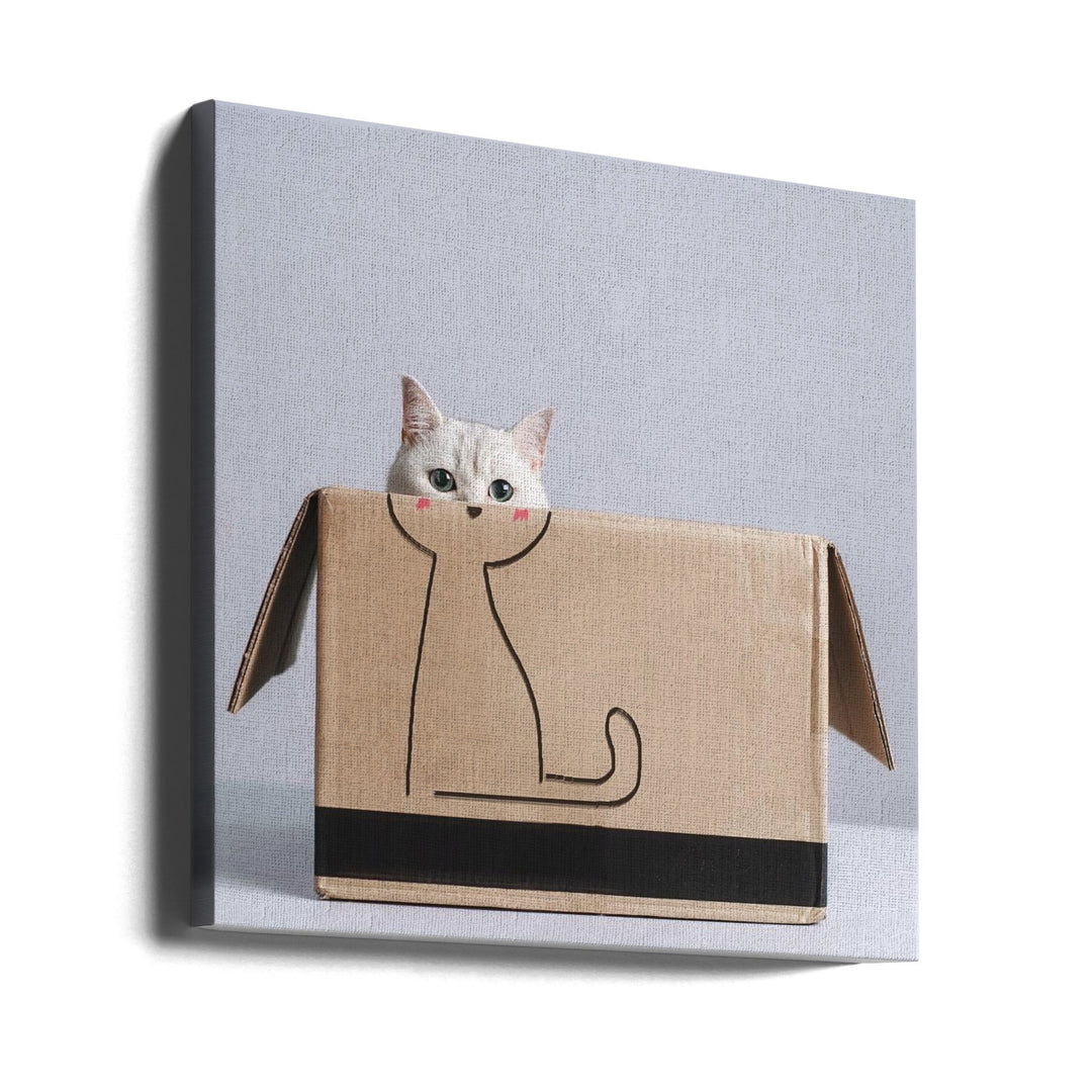 Cat in the box - Square Stretched Canvas, Poster or Fine Art Print I Heart Wall Art