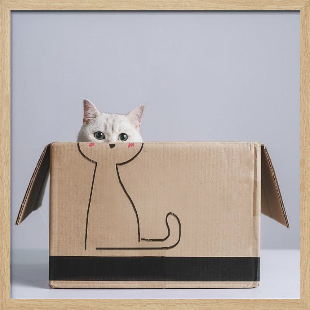 Cat in the box - Square Stretched Canvas, Poster or Fine Art Print I Heart Wall Art