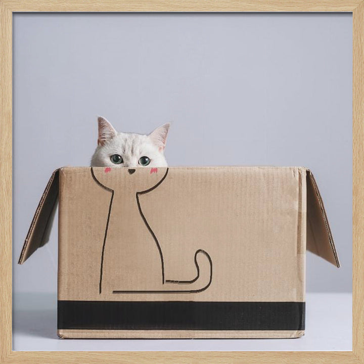Cat in the box - Square Stretched Canvas, Poster or Fine Art Print I Heart Wall Art