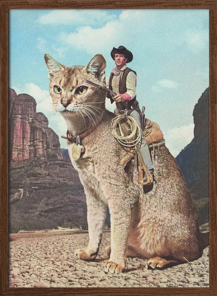Cat Lone Ranger - Stretched Canvas, Poster or Fine Art Print I Heart Wall Art