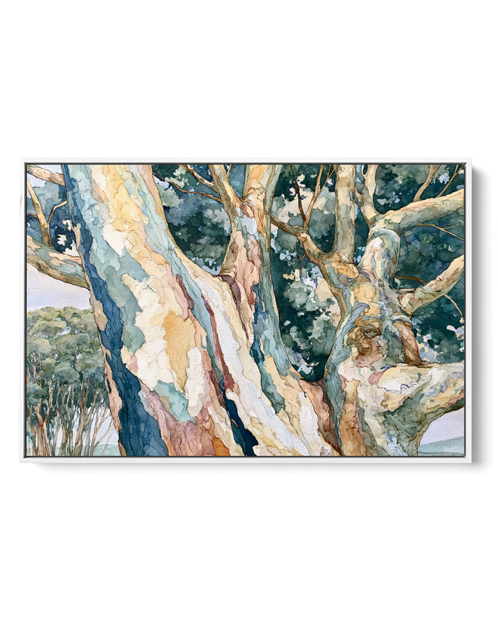 Cerulean Forest II by IHeartStudio - Australian Eucalypt Bark Canvas Print