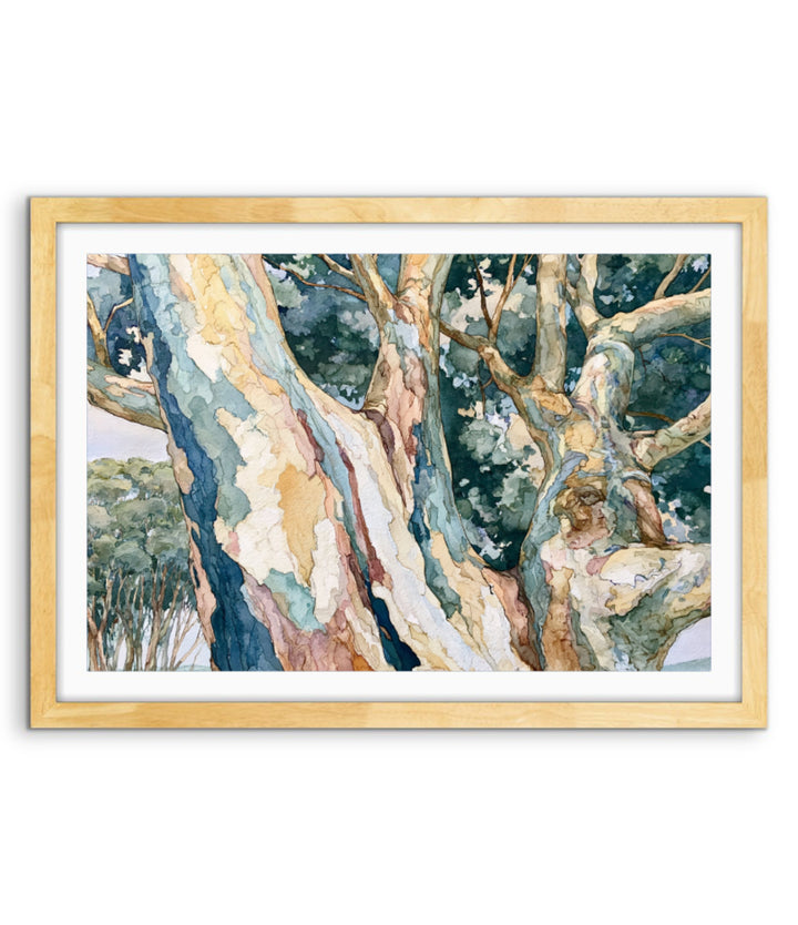 Cerulean Forest II by IHeartStudio - Australian Eucalypt Bark Canvas Print