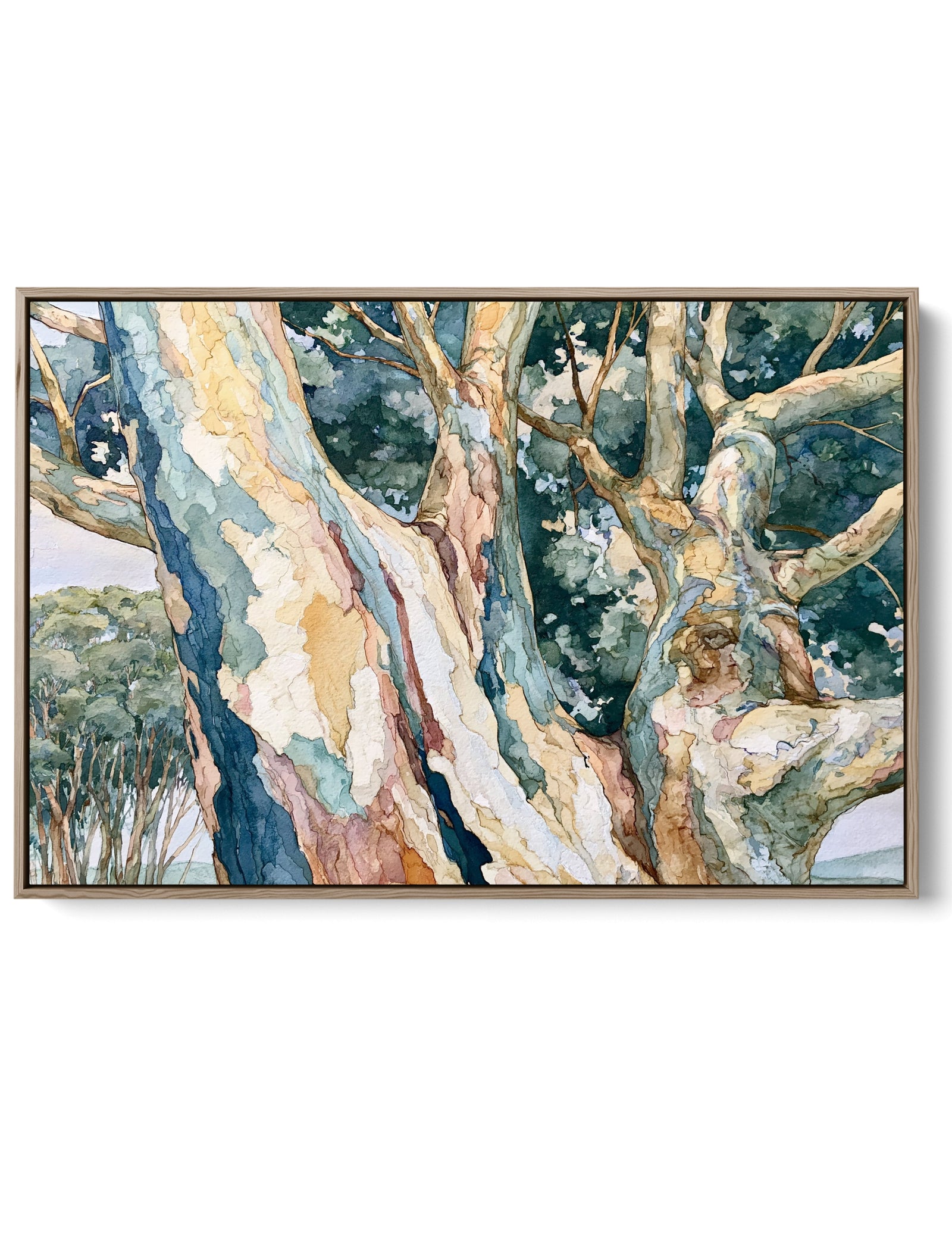 Cerulean Forest II by IHeartStudio - Australian Eucalypt Bark Canvas Print