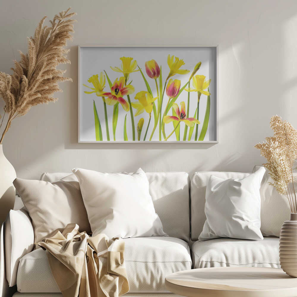 Cheerful Spring Flowers - Floral Photographic Stretched Canvas Poster or Fine Art Print