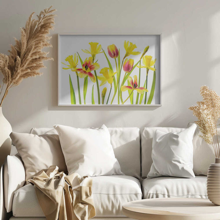 Cheerful Spring Flowers - Floral Photographic Stretched Canvas Poster or Fine Art Print