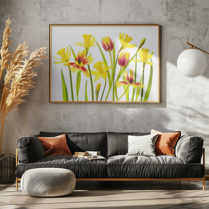 Cheerful Spring Flowers - Floral Photographic Stretched Canvas Poster or Fine Art Print