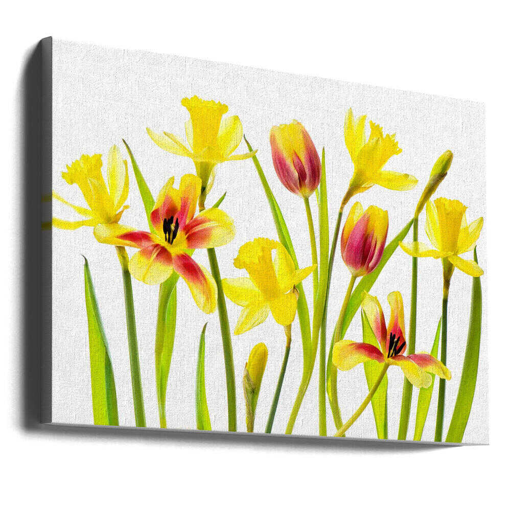 Cheerful Spring Flowers - Floral Photographic Stretched Canvas Poster or Fine Art Print
