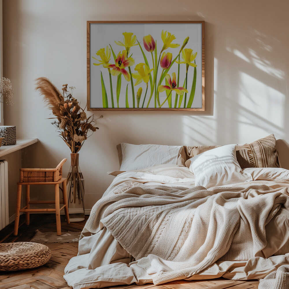 Cheerful Spring Flowers - Floral Photographic Stretched Canvas Poster or Fine Art Print