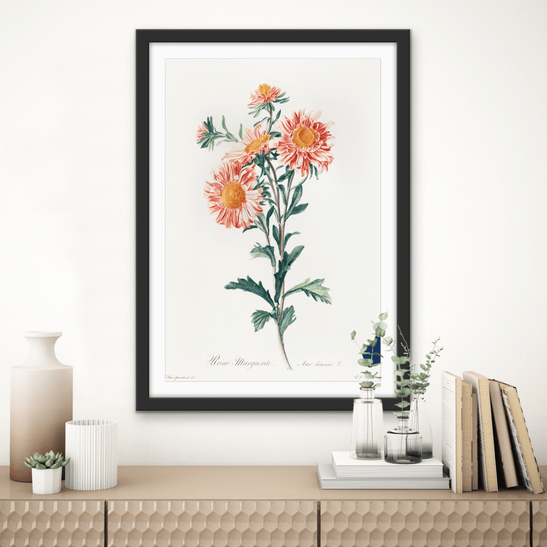 Chinese Aster (1800) Vintage Prints by Gerard Van Spaendonck - Stretched Canvas or Wall Art Print - I Heart Wall Art - Poster Print, Canvas Print or Framed Art Print