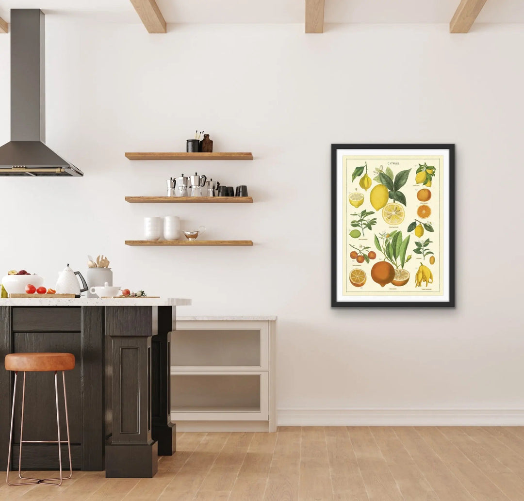 Citrus Vintage Scientific Chart - Stretched Canvas Print or Framed Fine Art Print - Artwork I Heart Wall Art Australia