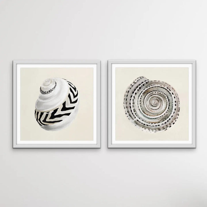 Classic Shell Set - Two Piece Cream and Black Shell Print Set - I Heart Wall Art