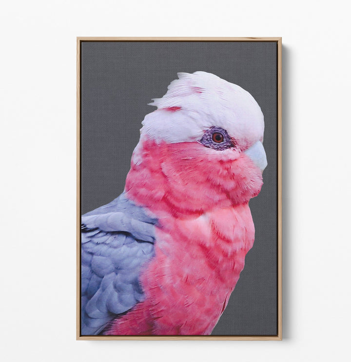 Cockatoo Stand Off - Two Piece Stretched Canvas Framed Wall Art Diptych - I Heart Wall Art