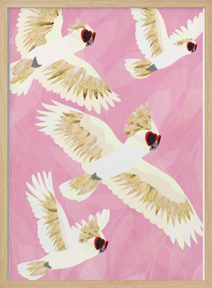 Cockatoos Flying Glasses - Stretched Canvas, Poster or Fine Art Print - I Heart Wall Art - Poster Print, Canvas Print or Framed Art Print