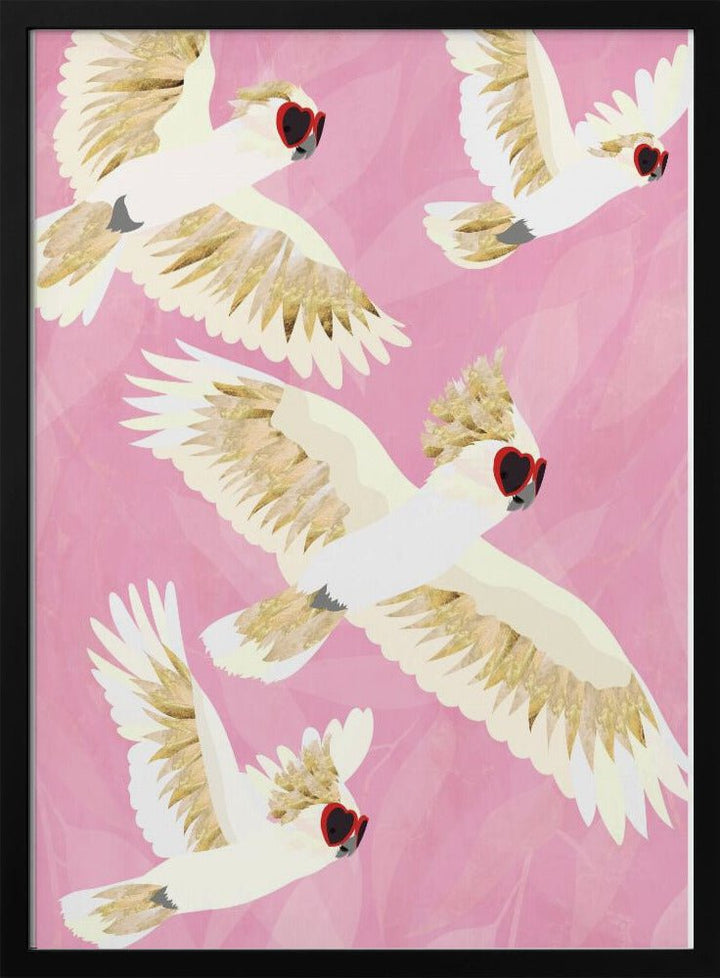Cockatoos Flying Glasses - Stretched Canvas, Poster or Fine Art Print - I Heart Wall Art - Poster Print, Canvas Print or Framed Art Print