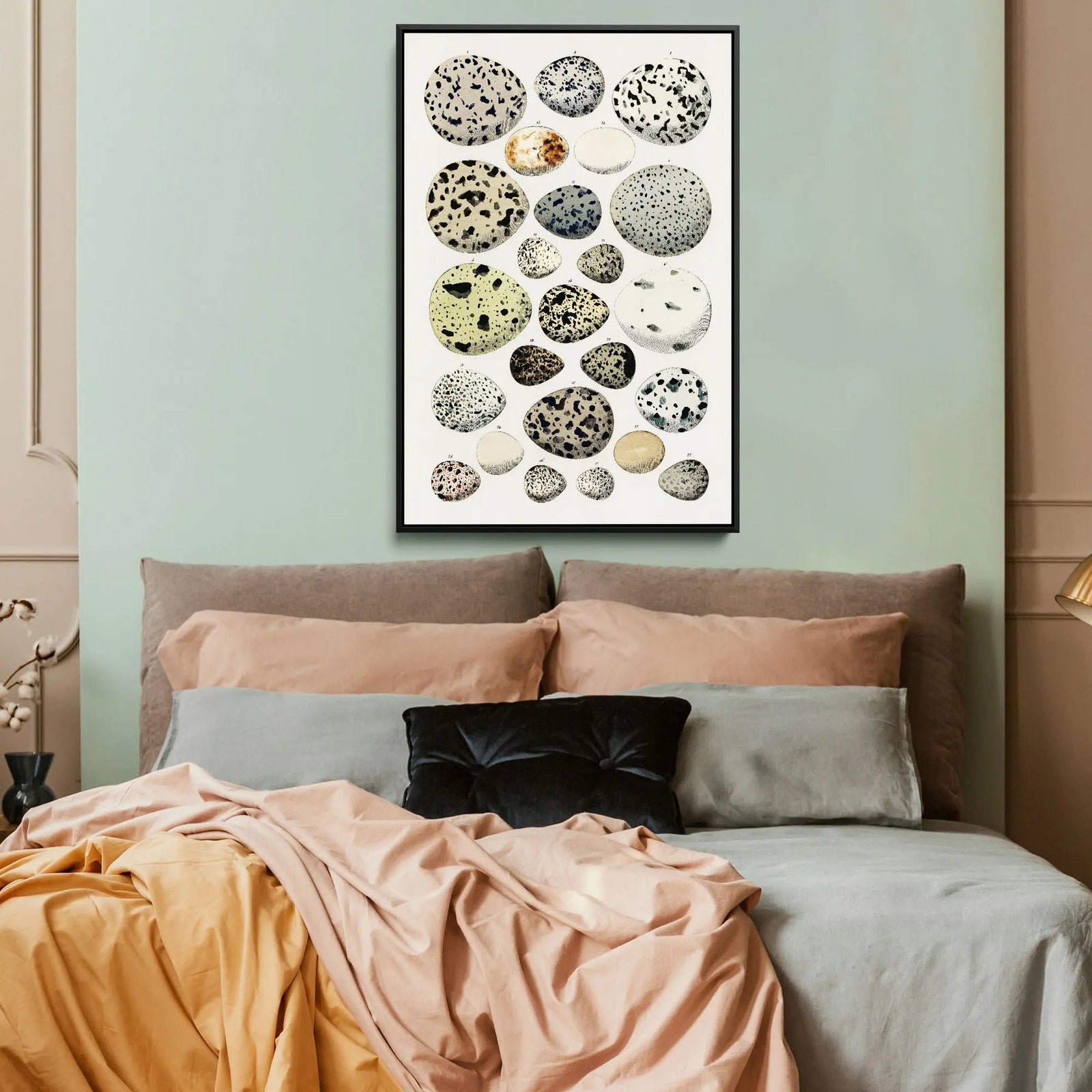 Collection of Different Eggs of Different Species of Birds Vintage Illustration by Lorenz Oken - Stretched Canvas Print or Framed Fine Art Print - Artwork I Heart Wall Art Australia 