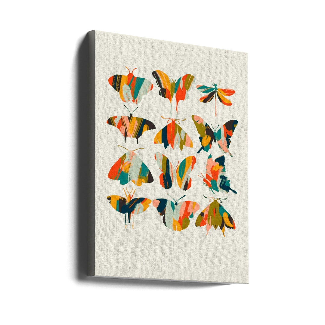 Colorful Butterflies - Stretched Canvas, Poster or Fine Art Print I Heart Wall Art