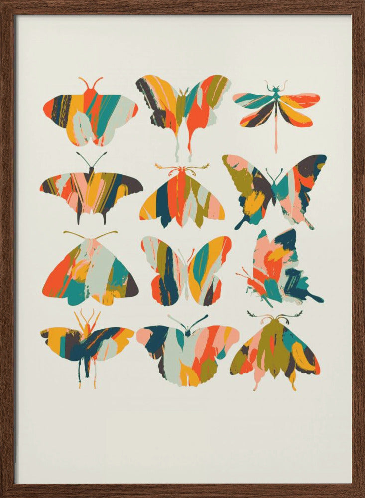 Colorful Butterflies - Stretched Canvas, Poster or Fine Art Print I Heart Wall Art