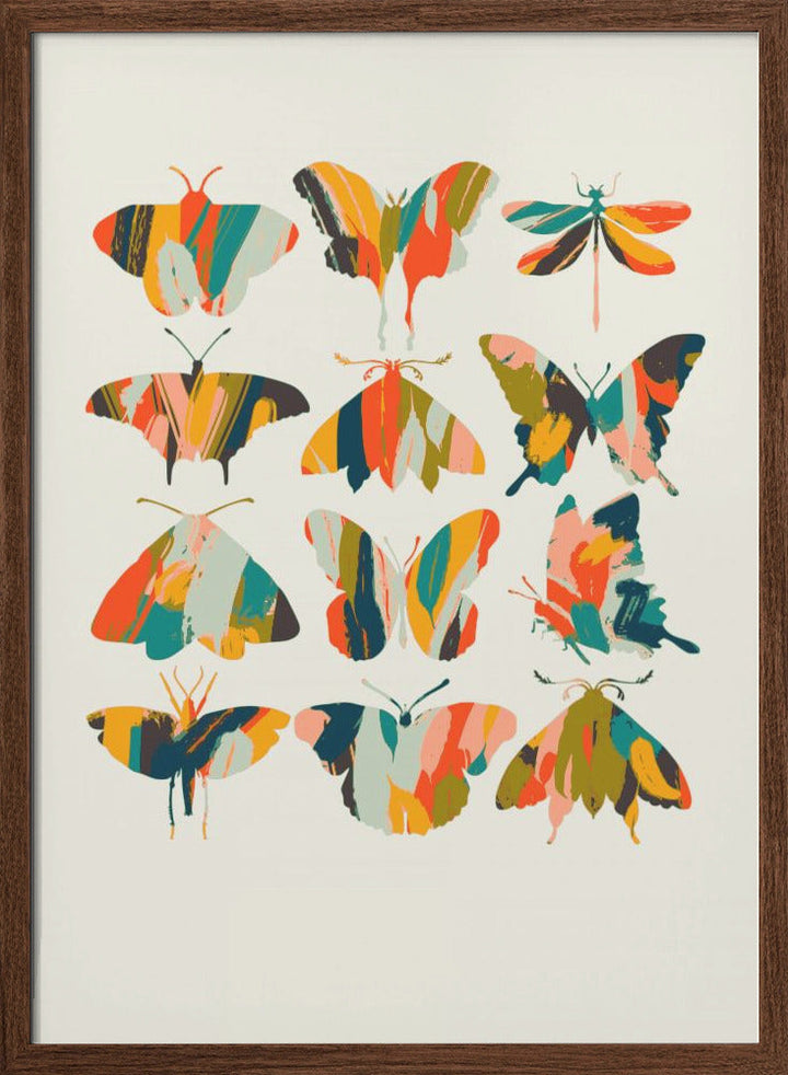 Colorful Butterflies - Stretched Canvas, Poster or Fine Art Print I Heart Wall Art