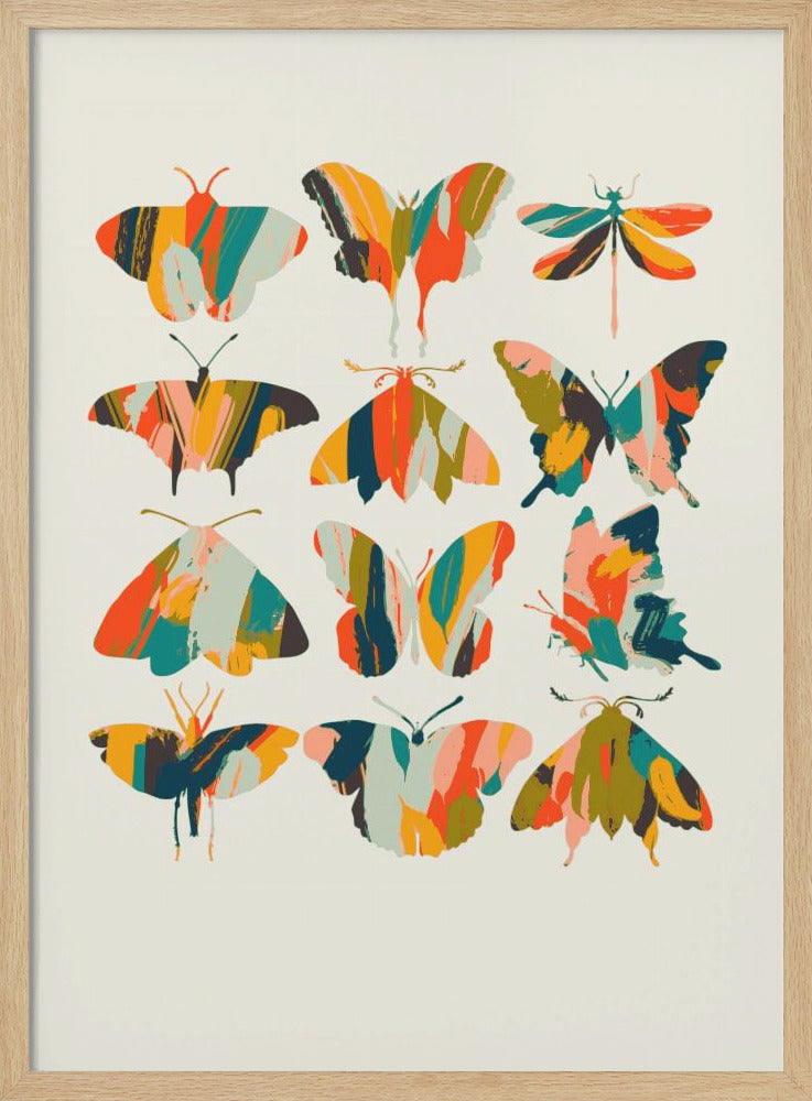 Colorful Butterflies - Stretched Canvas, Poster or Fine Art Print I Heart Wall Art