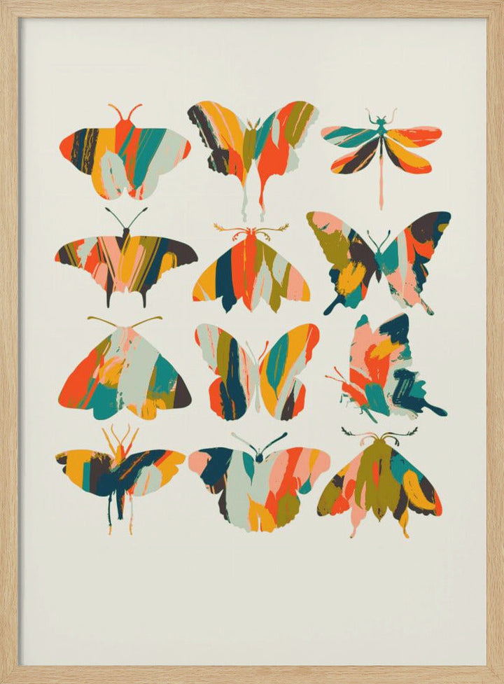 Colorful Butterflies - Stretched Canvas, Poster or Fine Art Print I Heart Wall Art