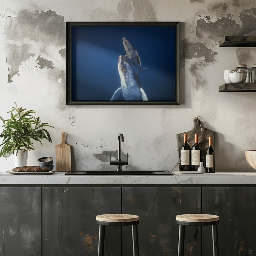 Come back to the surface - Stretched Canvas, Poster or Fine Art Print I Heart Wall Art