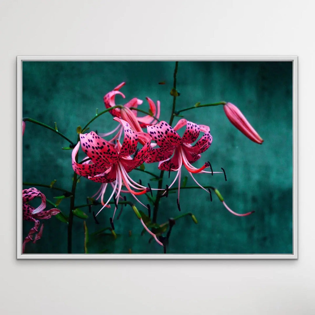 Come Find Me - Green and Pink Photographic Print on Canvas or Paper I Heart Wall Art Australia 