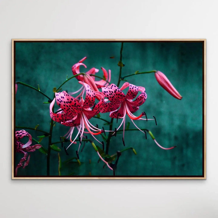 Come Find Me - Green and Pink Photographic Print on Canvas or Paper I Heart Wall Art Australia 