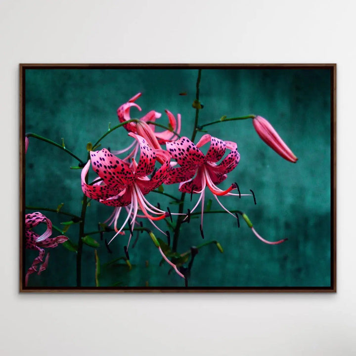 Come Find Me - Green and Pink Photographic Print on Canvas or Paper I Heart Wall Art Australia 