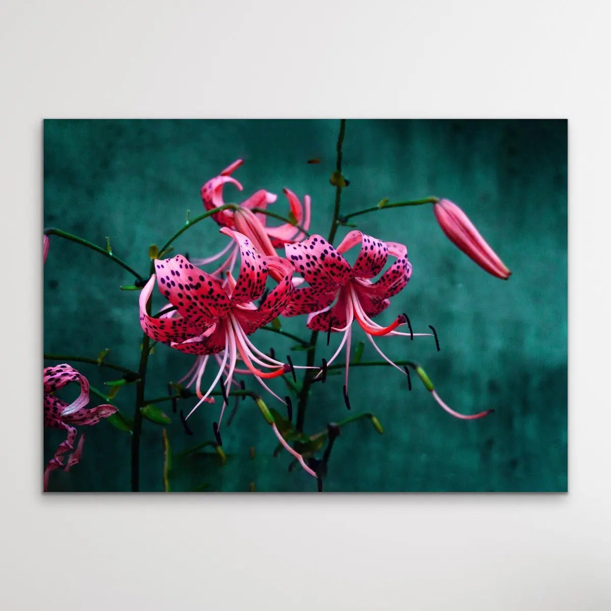 Come Find Me - Green and Pink Photographic Print on Canvas or Paper I Heart Wall Art Australia 
