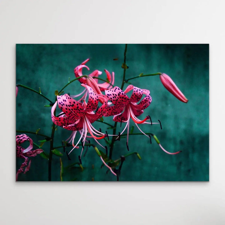Come Find Me - Green and Pink Photographic Print on Canvas or Paper I Heart Wall Art Australia 